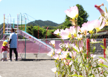 園内には綺麗な花が咲きます